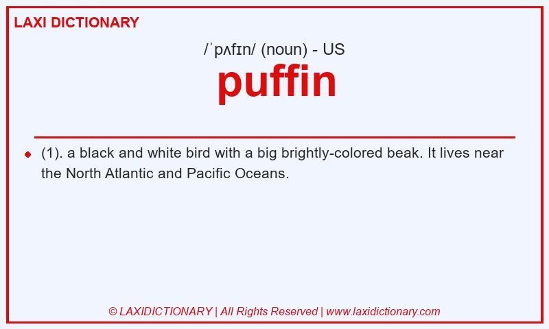 Definition puffin in American English