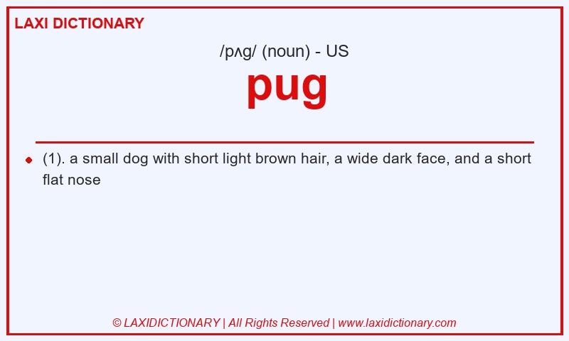Definition pug in American English