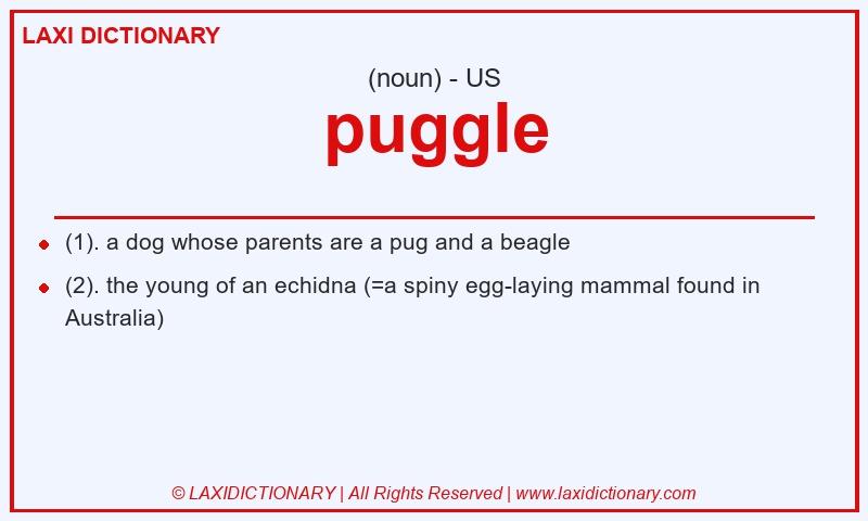 Definition puggle in American English