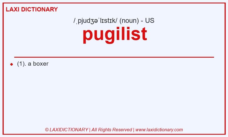 Definition pugilist in American English