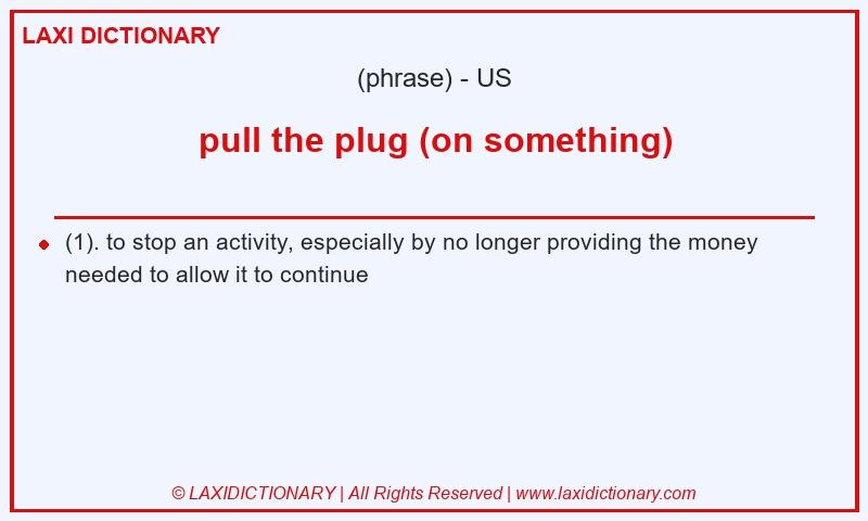 Definition pull the plug (on something) in American English