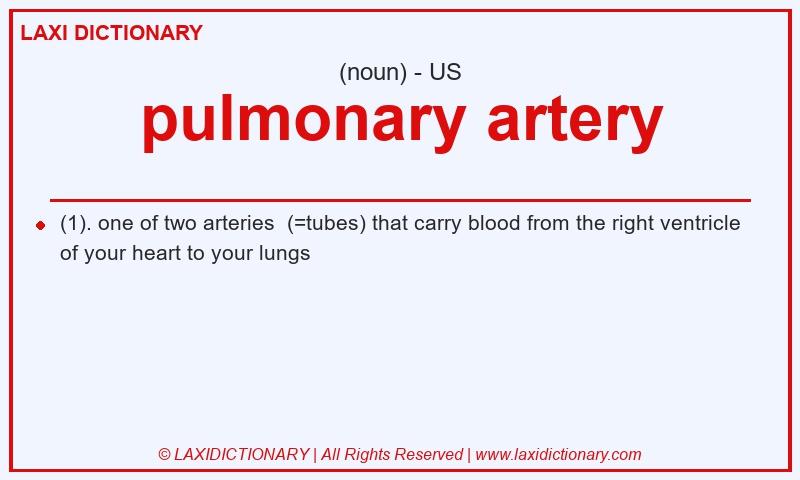 Definition pulmonary artery in American English
