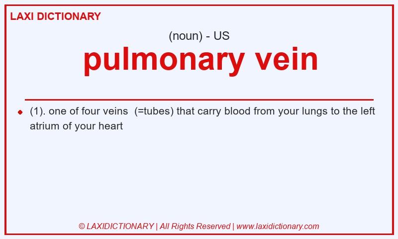 Definition pulmonary vein in American English