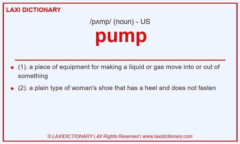 Definition pump in American English