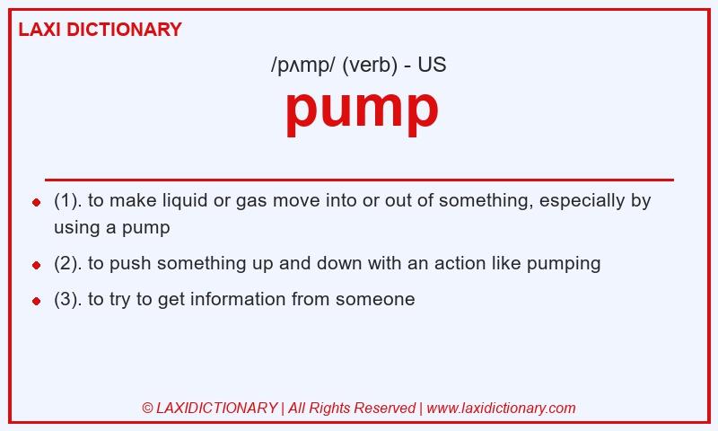 Definition pump in American English