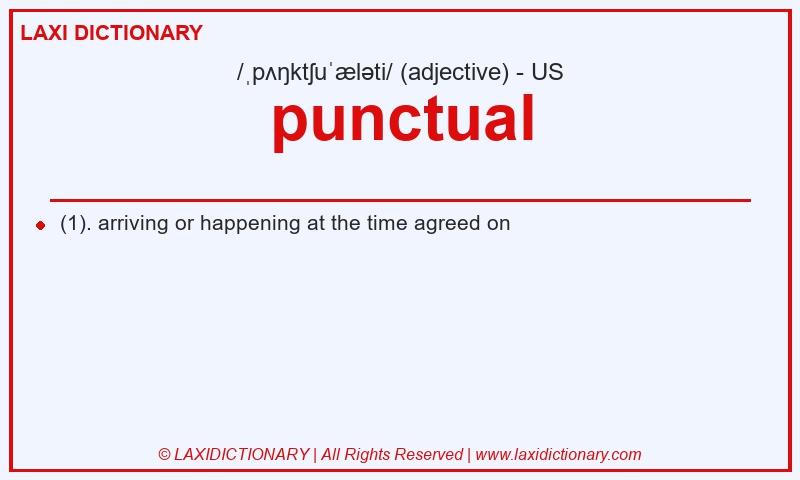 Definition punctual in American English