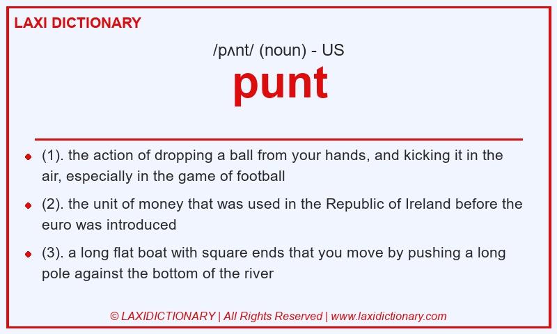 Definition punt in American English