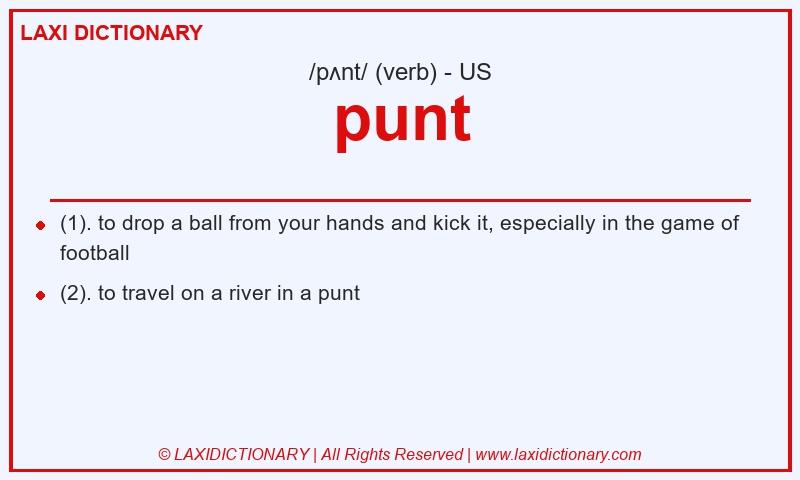 Definition punt in American English