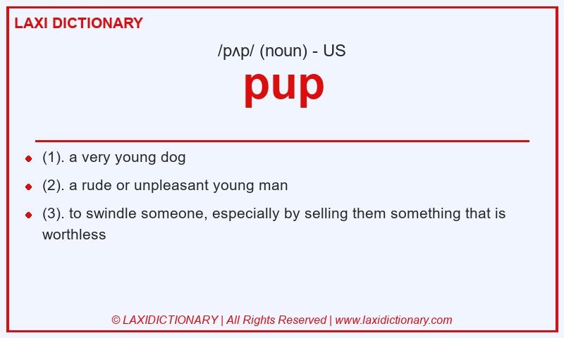 Definition pup in American English