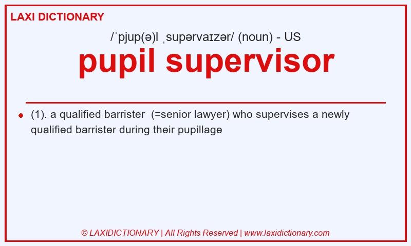 Definition pupil supervisor in American English