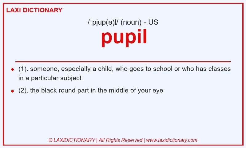 Definition pupil in American English