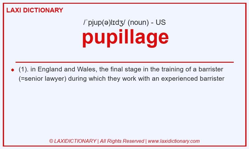 Definition pupillage in American English