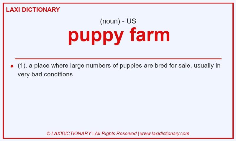 Definition puppy farm in American English