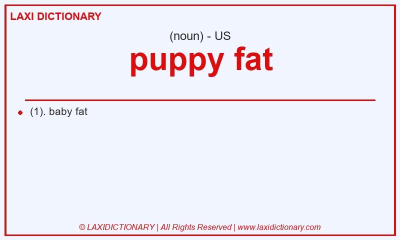 Definition puppy fat in American English