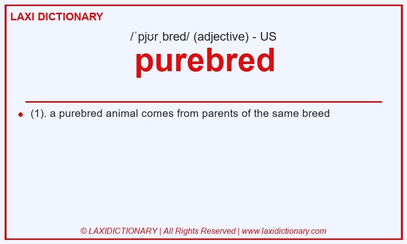 Definition purebred in American English