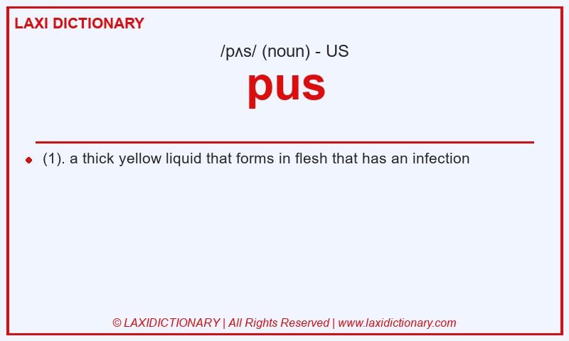 Definition pus in American English