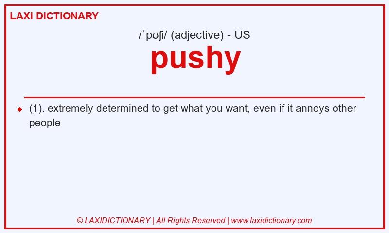 Definition pushy in American English