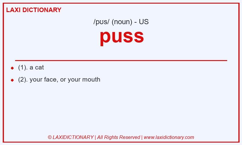Definition puss in American English