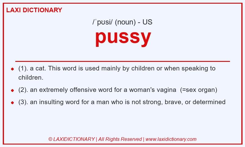 Definition pussy in American English