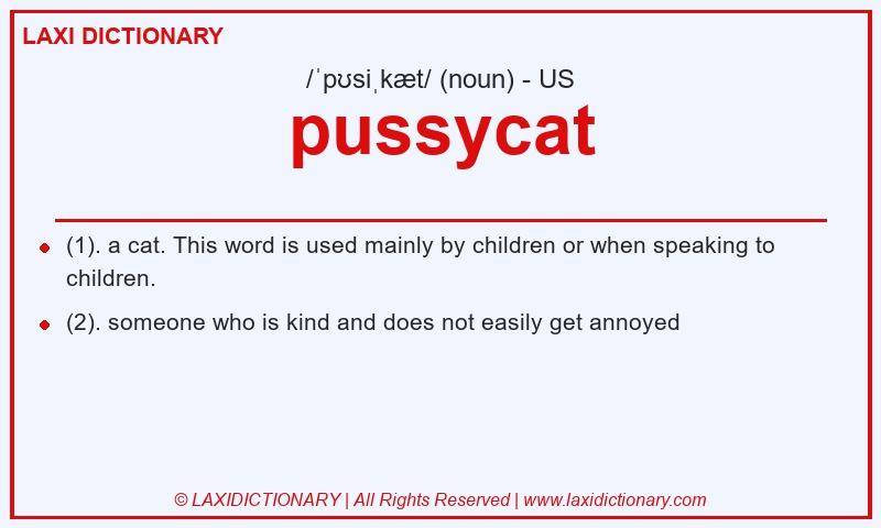 Definition pussycat in American English