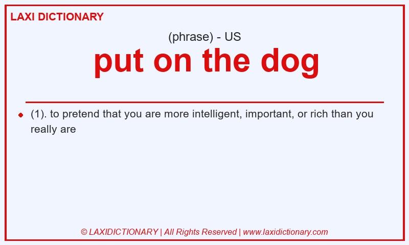 Definition put on the dog in American English