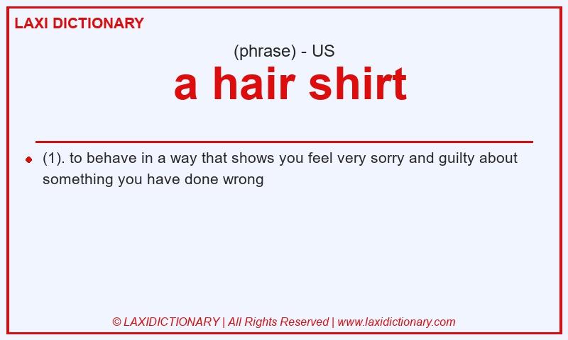 Definition a hair shirt in American English