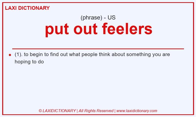 Definition put out feelers in American English