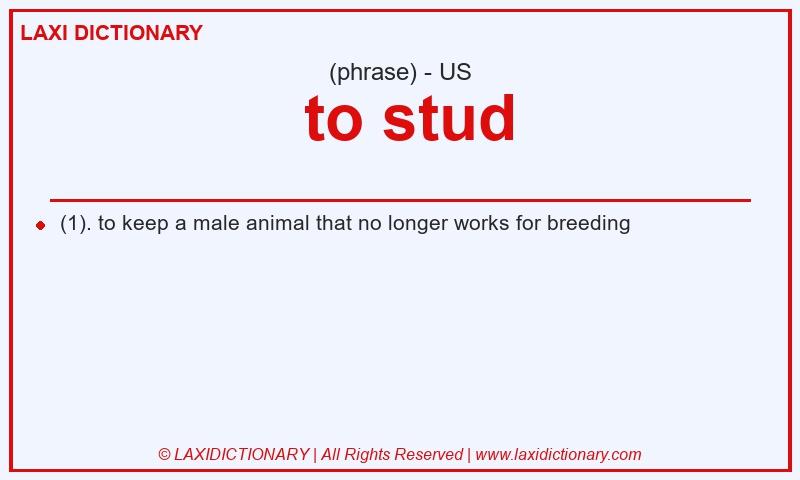 Definition  to stud in American English