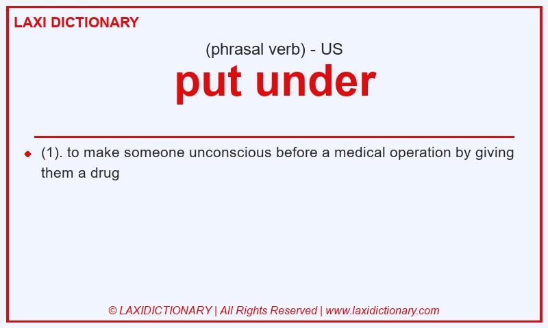Definition put under in American English