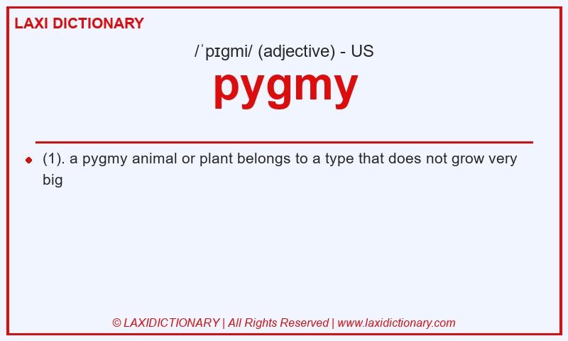 Definition pygmy in American English