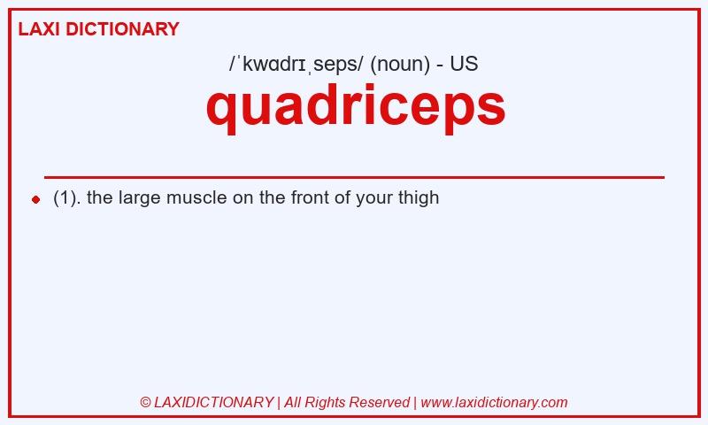 Definition quadriceps in American English