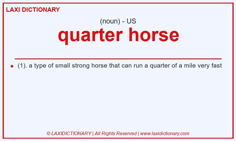 Definition quarter horse in American English