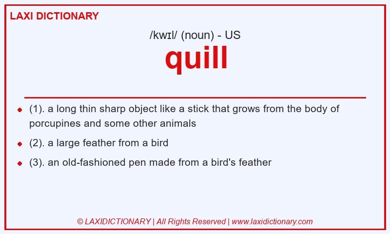 Definition quill in American English