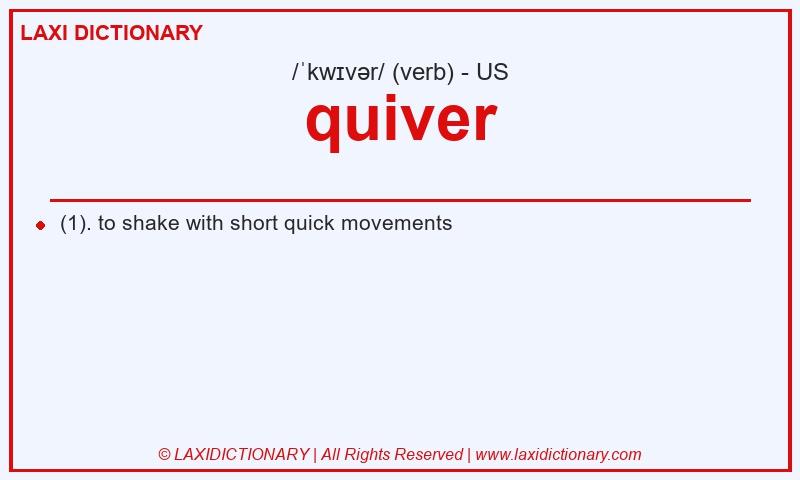 Definition quiver in American English