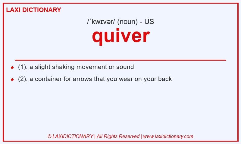 Definition quiver in American English
