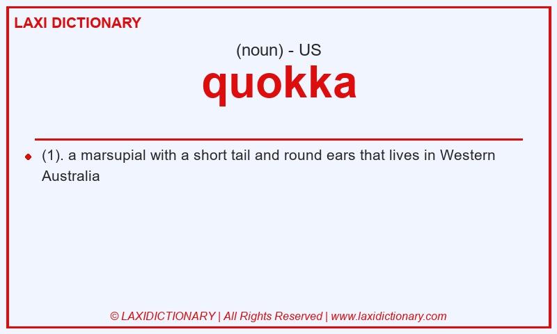 Definition quokka in American English