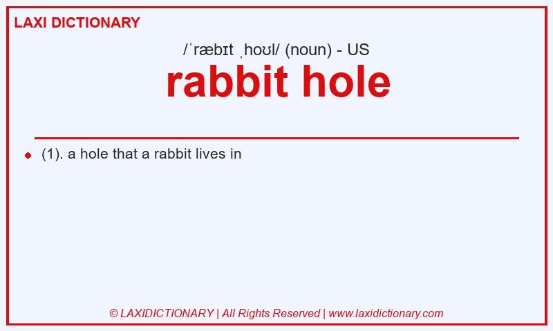 Definition rabbit hole in American English