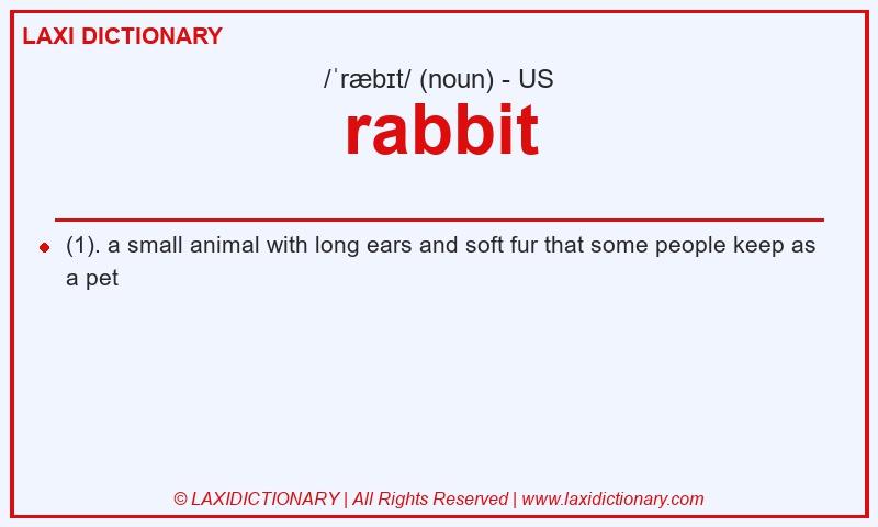 Definition rabbit in American English