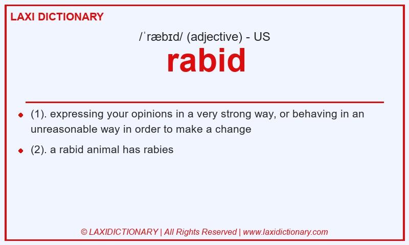 Definition rabid in American English