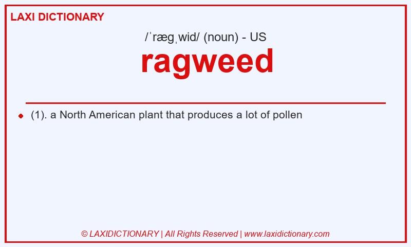 Definition ragweed in American English
