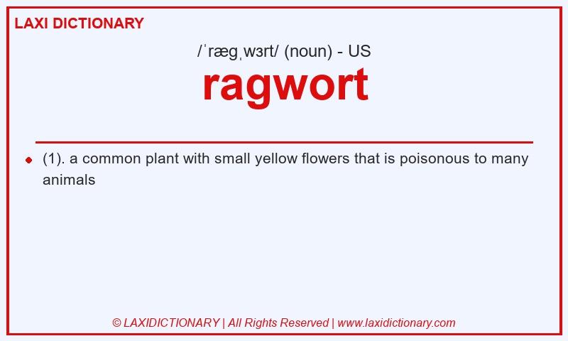 Definition ragwort in American English