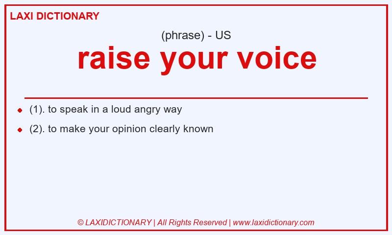 Definition raise your voice in American English