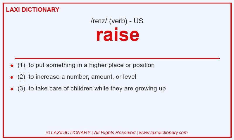 Definition raise in American English