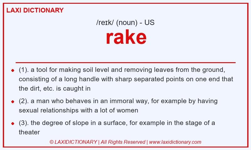 Definition rake in American English