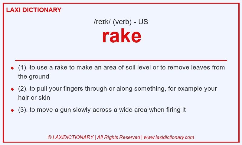 Definition rake in American English
