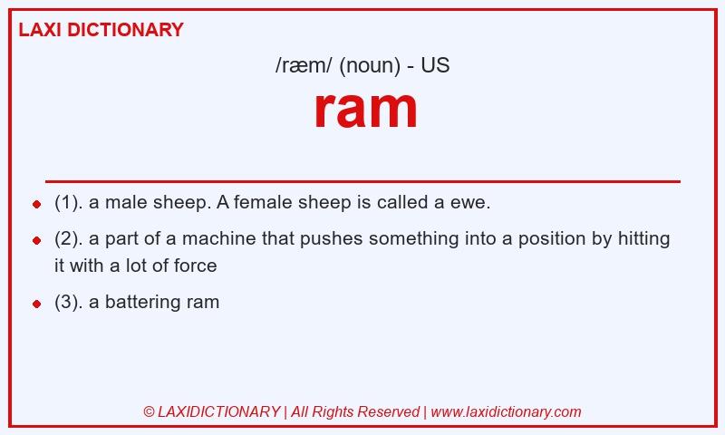 Definition ram in American English