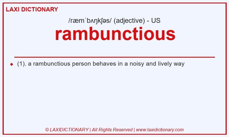 Definition rambunctious in American English