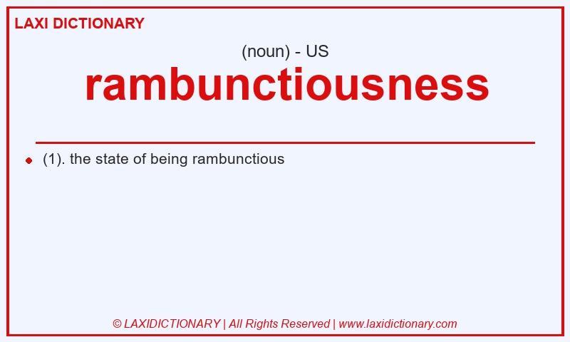 Definition rambunctiousness in American English