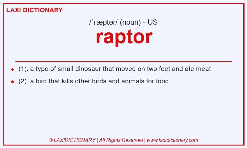 Definition raptor in American English
