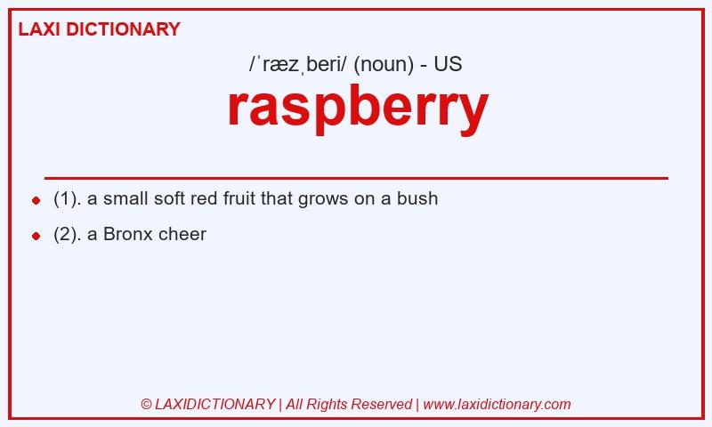 Definition raspberry in American English